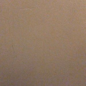 Meet your Posher, Deshawn